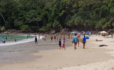 noosa holiday property management